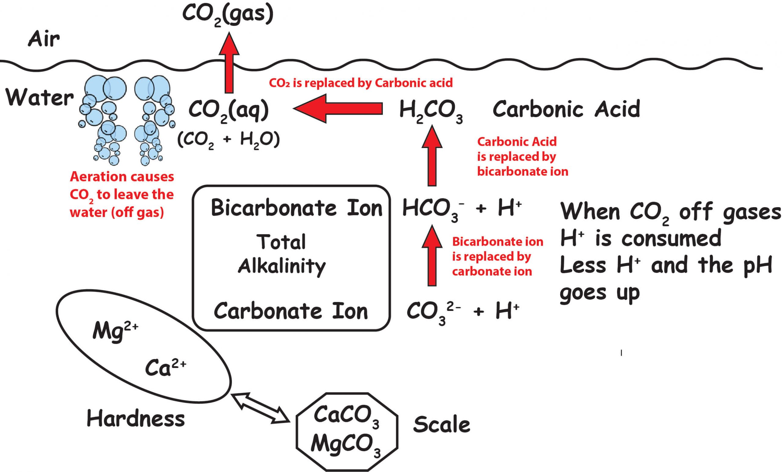 Why pH rises if not from liquid chlorine? • Pool Chemistry Training ...